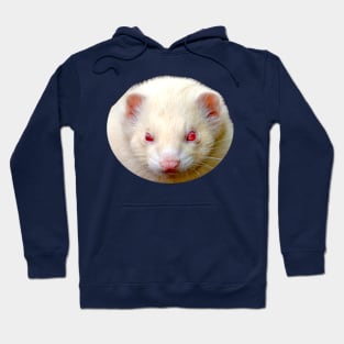 Albino Ferret Hoodie